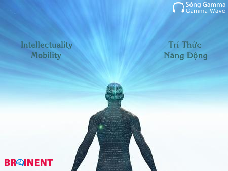 gamma-binaural-intellectuality-mobility