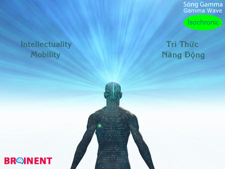 gamma-isochronic-intellectuality-mobility