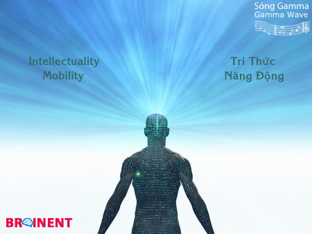 gamma-mixed-intellectuality-mobility